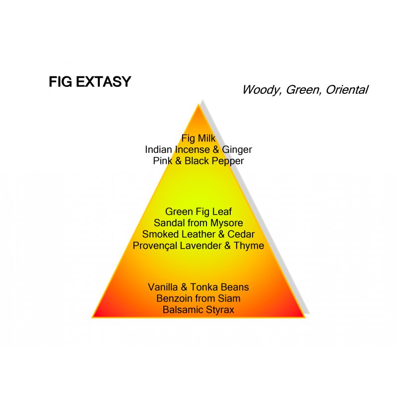 Fig Extasy eau de parfum 120ml