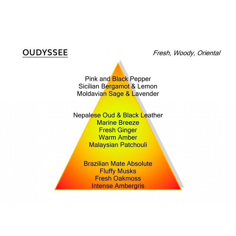 Oudyssee Eau de Parfum 100 ml
