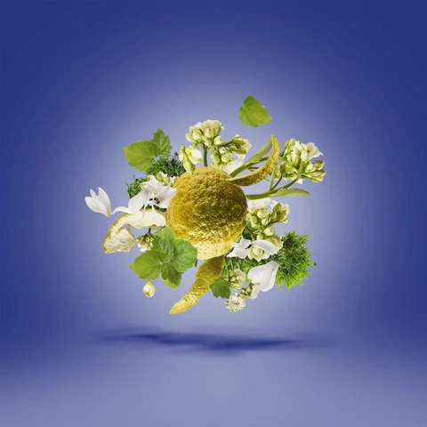 Torino23 Eau de Parfum 50 ml