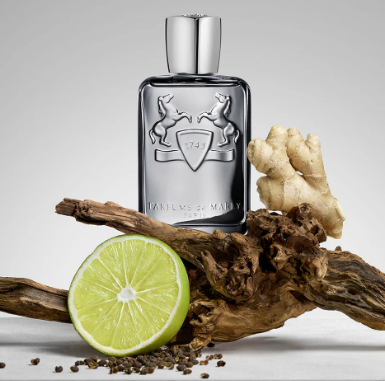 Castley Eau de Parfum 125 ml 