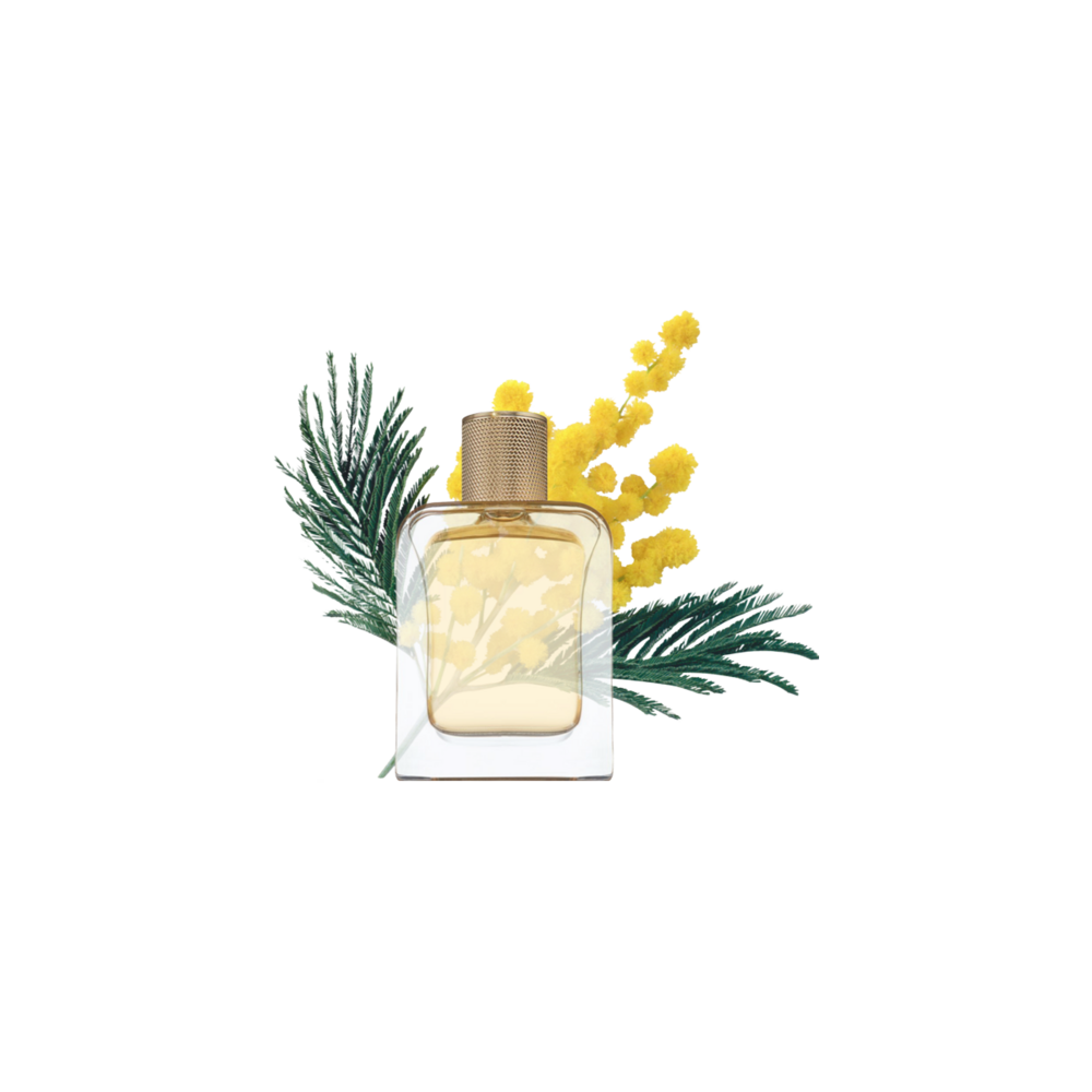  Souvenirs De Tunisie Eau de Parfum 85m