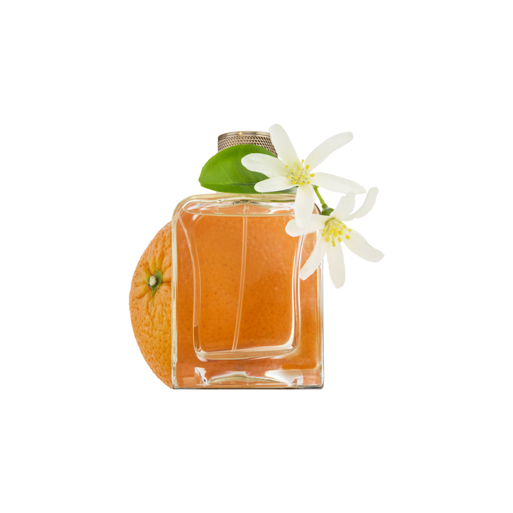  Souvenirs De Tunisie Eau de Parfum 85m