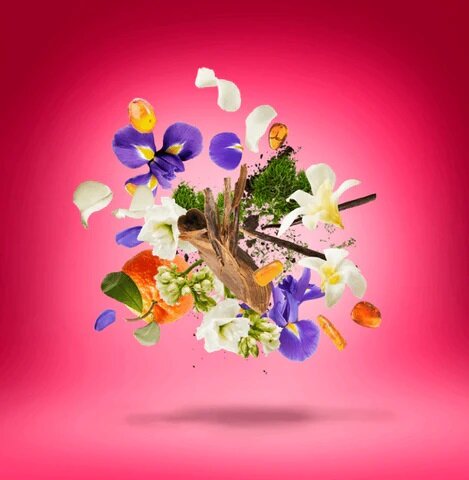 Coro Eau de Parfum 50 ml