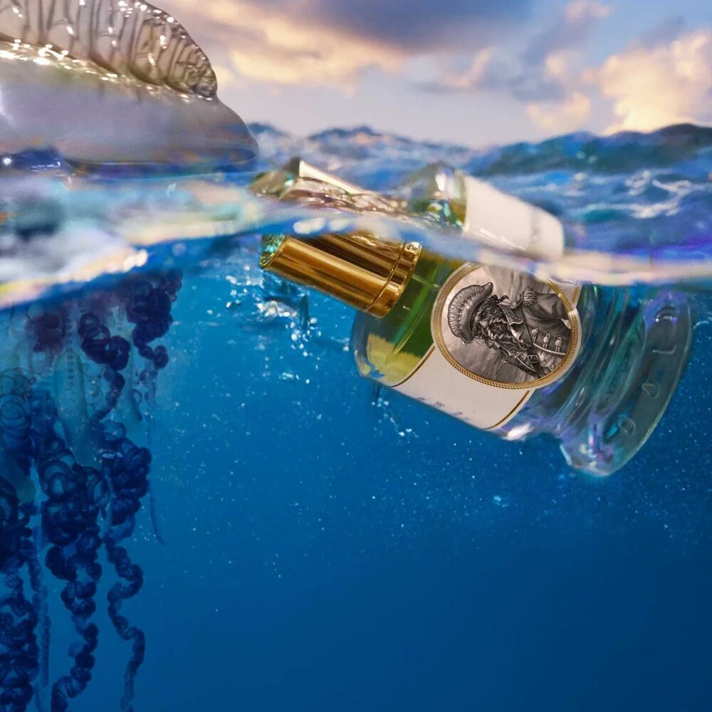 Portuguese Man O' War 60 ml 