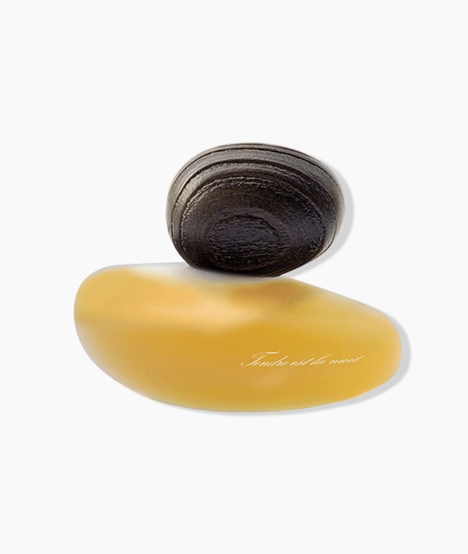 Tendre est la Nuit Clair 