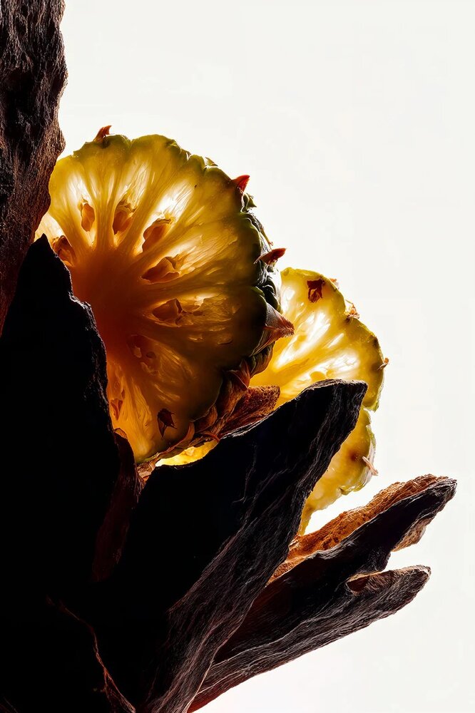 Oud extrait de parfum 50 ml