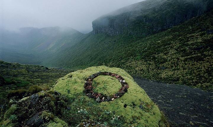 Chypre Shot Extrait de Parfum 100 ml 