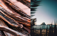 Mojito Chypre Eau de Parfum 100 ml