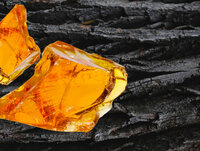 L'Ombre Fauve Eau de Parfum 100 ml