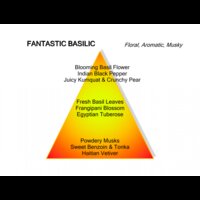 Fantastic Basilic Eau de Parfum 100 ml