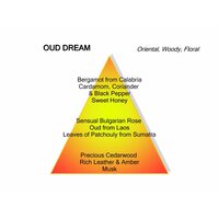 Oud Dream Eau de Parfum 100 ml
