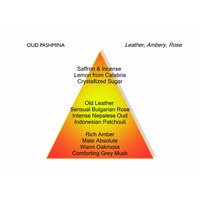 Oud Pashmina Eau de Parfum 100 ml