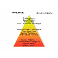 Pure Love Eau de Parfum 100 ml