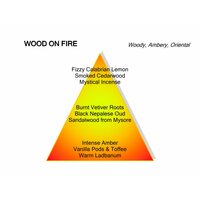 WOOD ON FIRE Eau de Parfum 100 ml