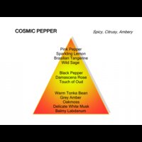 Cosmic Pepper Eau de Parfum 60 ml
