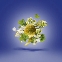 Torino23 Eau de Parfum 50 ml