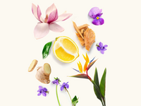 Rose Arabia Ginger Eau de Parfum 100 ml