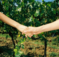 Camporella Extrait de Parfum 50 ml