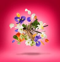 Coro Eau de Parfum 50 ml