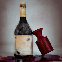 Purple Stain Extrait 50 ml