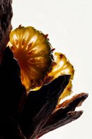 Oud extrait de parfum 50 ml