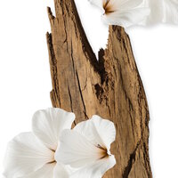 Valaya Eau de Parfum 30 ml