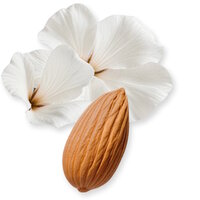 Valaya Exclusif Parfum 30 ml 