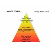 Amber Fever Eau de Parfum  60 ml