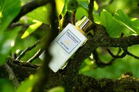 easy to love eau de parfum 100 ml