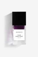 PLUM SPRAY PAINT