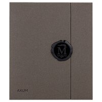 Morph Axum