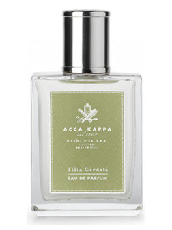 Tilia Cordata Eau de Parfum 100 ml
