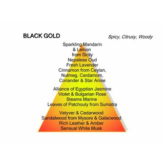 Black Gold eau de parfum 