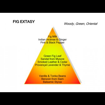 Fig Extasy eau de parfum 60ml