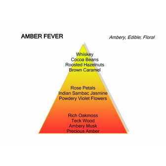 Amber Fever Eau de Parfum 60 ml