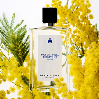 SOUS UN MIMOSA DE PROVENCE Eau de toilette intense 100 ml