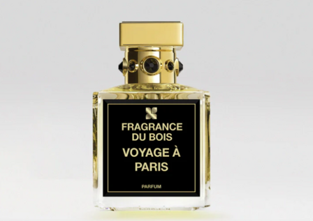 VOYAGE A PARIS