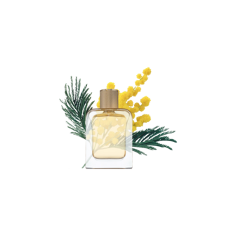  Souvenirs De Tunisie Eau de Parfum 85m