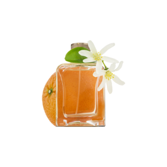  Souvenirs De Tunisie Eau de Parfum 85m
