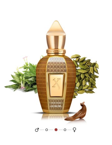 Luxor Extrait de Parfum 50 ml
