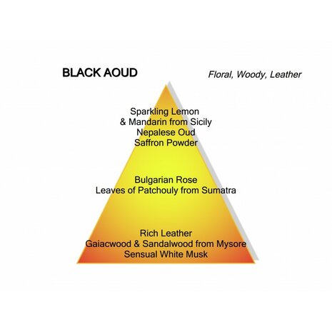 Black Aoud Eau de Parfum 100 ml
