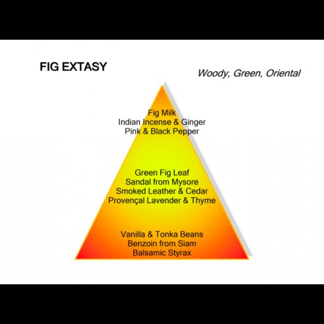 Fig Extasy eau de parfum 60ml