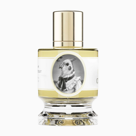 COCKATIEL