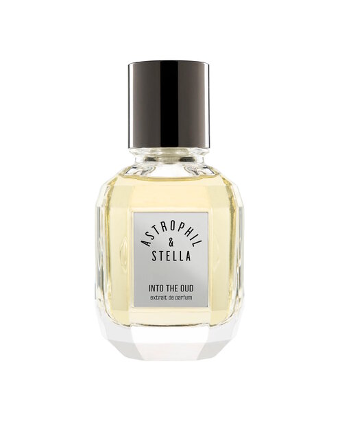 Astrophil &amp; Stella Into The Oud