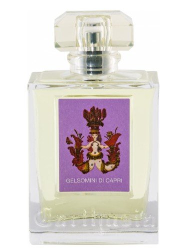 gelsomini di capri perfume
