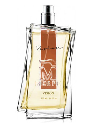 VISION Intense Eau de Parfum 100 ml