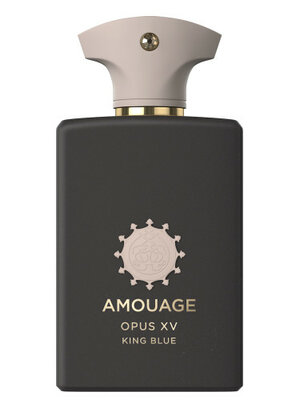 OPUS XIV ROYAL TOBACCO Eau de Parfum 100 ml