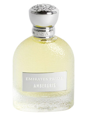 Ambergris Eau de Parfum 100 ml