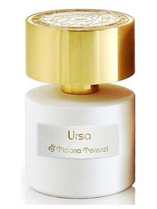 ursa perfume