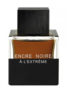 gucci extreme perfume